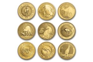 Collection of Australian Kangaroo gold coins featuring different designs and years